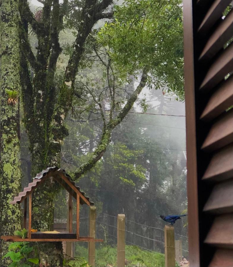 Recanto Das Gralhas São Francisco de Paula Buitenkant foto