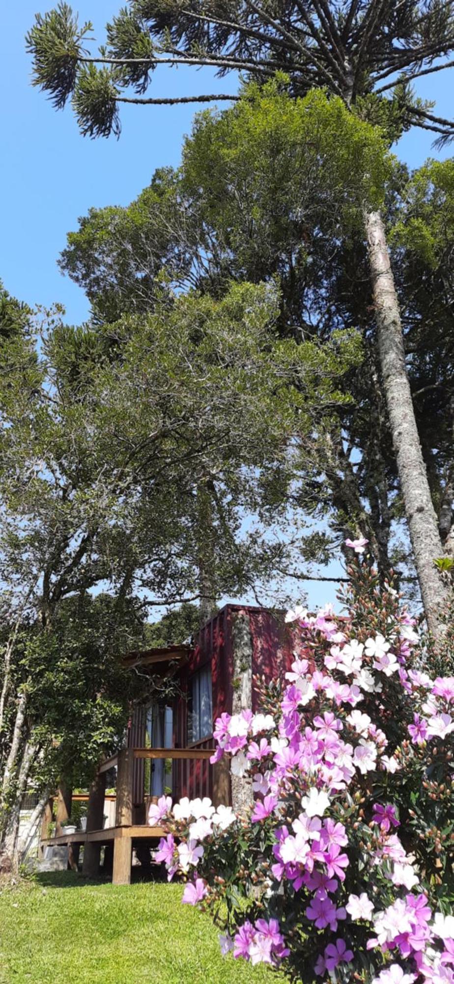 Recanto Das Gralhas São Francisco de Paula Buitenkant foto